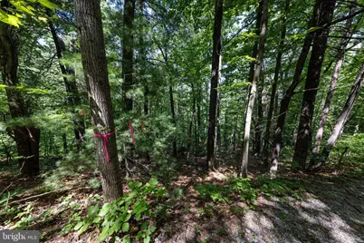 Lot 17B & 18 Helms Road, Stanley, VA 22851 - Photo 42