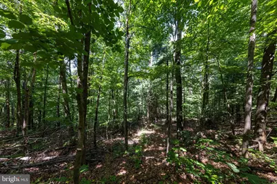 Lot 17B & 18 Helms Road, Stanley, VA 22851 - Photo 34