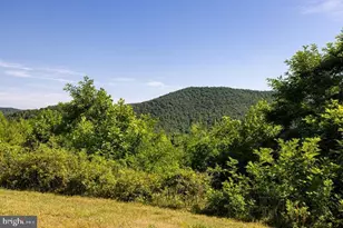 5855 Jollett Rd, Elkton, VA 22827 - Photo 58