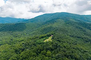 3827 Pine Grove Rd, Stanley, VA 22851 - Photo 102