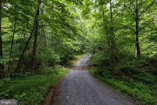 3827 Pine Grove Rd, Stanley, VA 22851 - Photo 52