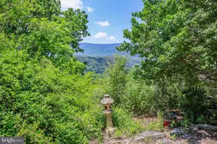522 Star View Ln, Rileyville, VA 22650 - Photo 60