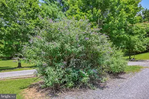 522 Star View Ln, Rileyville, VA 22650 - Photo 68