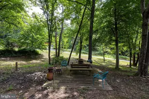 160 Piney Knoll Pl, Shenandoah, VA 22849 - Photo 36