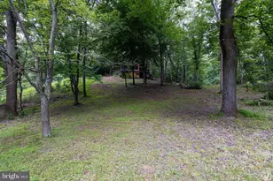 160 Piney Knoll Pl, Shenandoah, VA 22849 - Photo 42