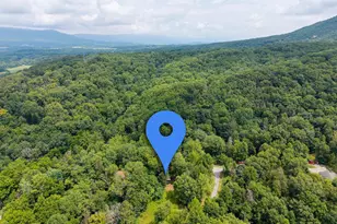 160 Piney Knoll Pl, Shenandoah, VA 22849 - Photo 50