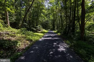 1247 Somers Rd, Luray, VA 22835 - Photo 50