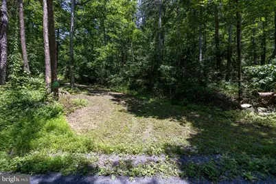 Lot 4 Somers Rd, Luray, VA 22835 - Photo 4
