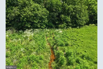 Newport Rd, Shenandoah, VA 22849 - Photo 12