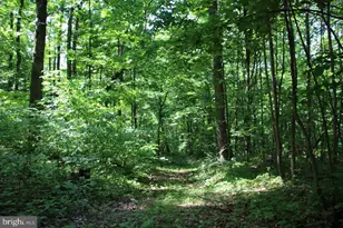 897 Helms Rd, Stanley, VA 22851 - Photo 40