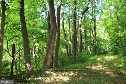 897 Helms Road, Stanley, VA 22851 - Photo 44
