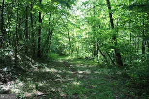 897 Helms Rd, Stanley, VA 22851 - Photo 42