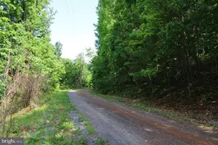 897 Helms Rd, Stanley, VA 22851 - Photo 34