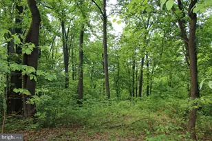 897 Helms Rd, Stanley, VA 22851 - Photo 50