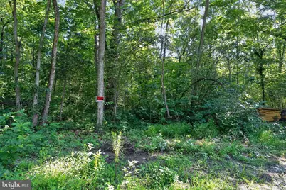 Greenway Lane, Luray, VA 22835 - Photo 22