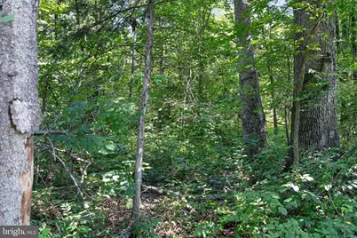 Greenway Lane, Luray, VA 22835 - Photo 20