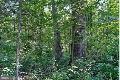Greenway Lane, Luray, VA 22835 - Photo 18
