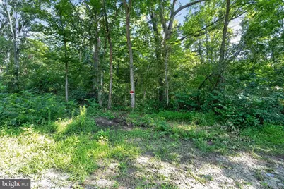 Greenway Lane, Luray, VA 22835 - Photo 24