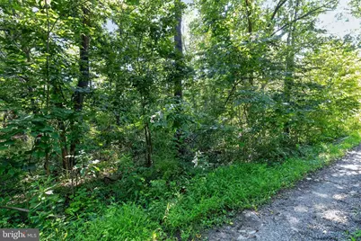 Greenway Lane, Luray, VA 22835 - Photo 14