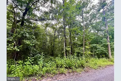 Forest Drive, Luray, VA 22835 - Photo 1
