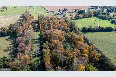 Off Dry Run Road, Luray, VA 22835 - Photo 34