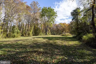 Off Dry Run Road, Luray, VA 22835 - Photo 62