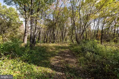 Off Dry Run Road, Luray, VA 22835 - Photo 66