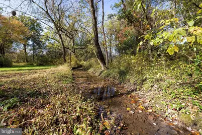 Off Dry Run Road, Luray, VA 22835 - Photo 54