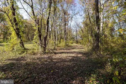 Off Dry Run Road, Luray, VA 22835 - Photo 52