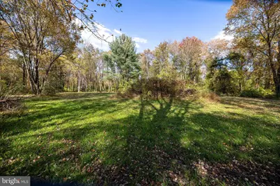 Off Dry Run Road, Luray, VA 22835 - Photo 38