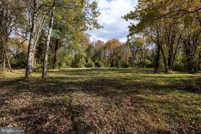 Off Dry Run Road, Luray, VA 22835 - Photo 50
