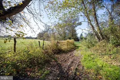Off Dry Run Road, Luray, VA 22835 - Photo 36