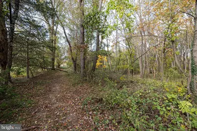 Off Dry Run Road, Luray, VA 22835 - Photo 72