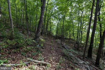 Lot B54 Roundhead Mountain, Stanley, VA 22851 - Photo 18