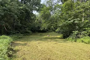 2250 Jewell Hollow Rd, Luray, VA 22835 - Photo 64