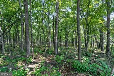 Indian Trail Road, Luray, VA 22835 - Photo 20