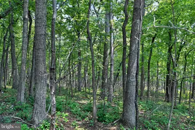 Indian Trail Road, Luray, VA 22835 - Photo 12