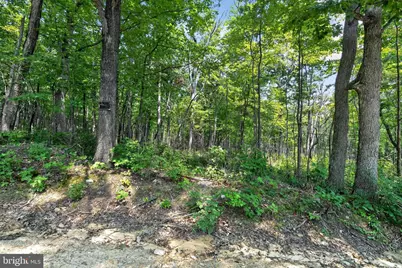 Indian Trail Road, Luray, VA 22835 - Photo 10