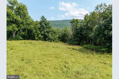Park Line Road, Stanley, VA 22851 - Photo 2