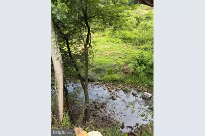 115 Overall Road, Rileyville, VA 22610 - Photo 4
