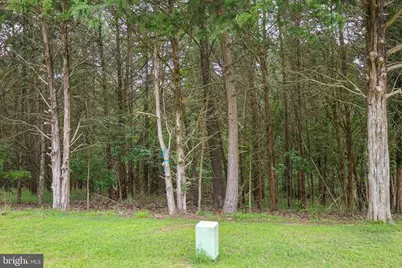 Lot 10 and Lot 11 River View Dr, Luray, VA 22835 - Photo 24