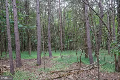 Lot 10 and Lot 11 River View Dr, Luray, VA 22835 - Photo 12
