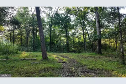 8849 US Hwy 340N, Rileyville, VA 22650 - Photo 54