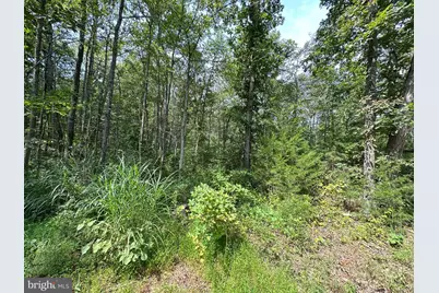0 Egypt Bend Road, Luray, VA 22835 - Photo 2