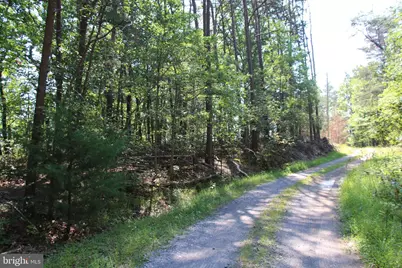 0 Lookout Drive, Shenandoah, VA 22849 - Photo 6