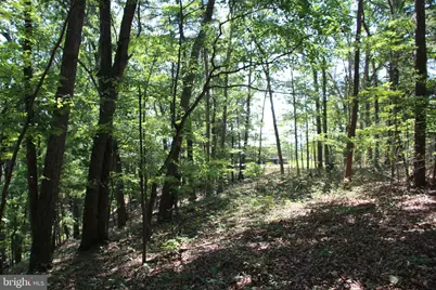 0 Lookout Drive, Shenandoah, VA 22849 - Photo 12