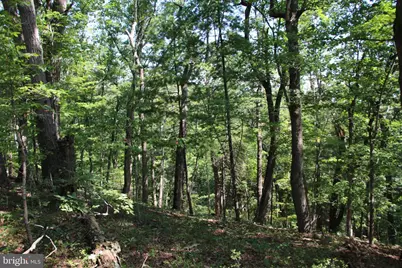 0 Lookout Drive, Shenandoah, VA 22849 - Photo 10
