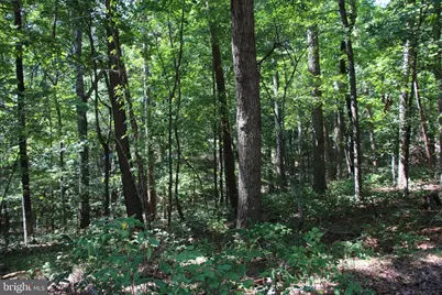 0 Lookout Drive, Shenandoah, VA 22849 - Photo 22