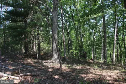 0 Lookout Drive, Shenandoah, VA 22849 - Photo 8