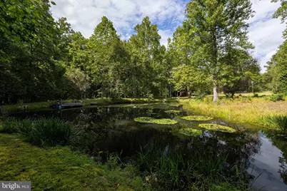 1280 Jewell Hollow Road, Luray, VA 22835 - Photo 60